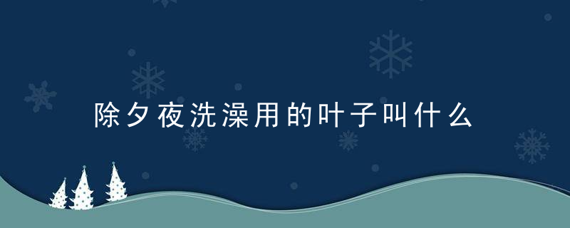 除夕夜洗澡用的叶子叫什么 桔柚叶子祈福驱邪
